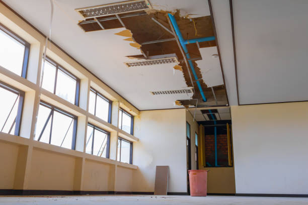Best Flood damage cleanup  in Yuc Valley, CA