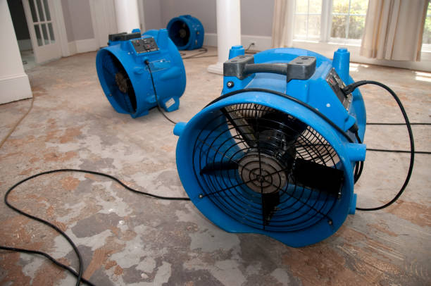 Best Basement water damage restoration  in Yuc Valley, CA