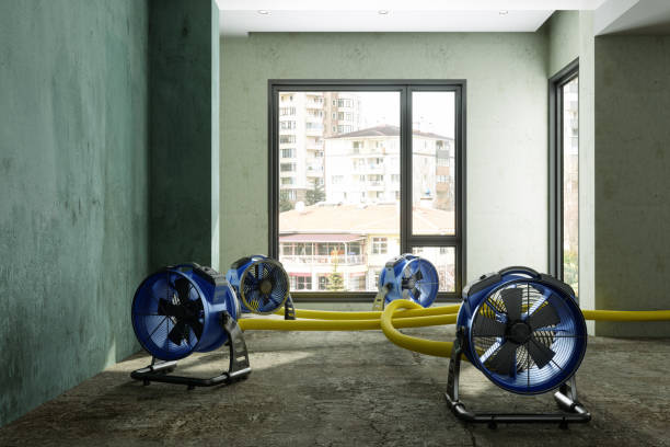 Best Water damage contractors near me  in Yuc Valley, CA
